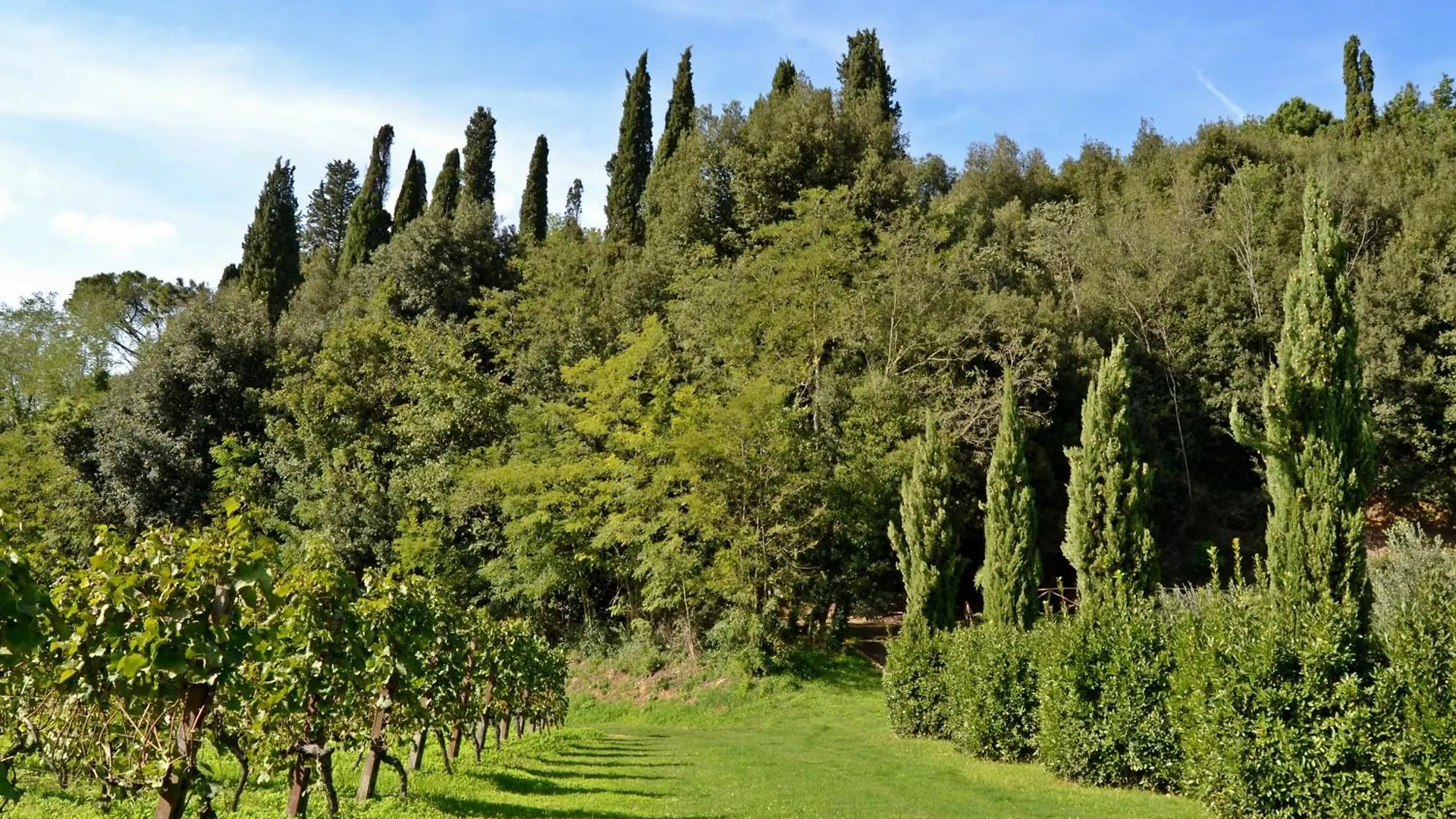Cevoli Country Resort Lari 0*,